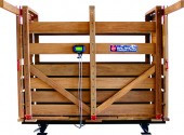 Balança bovina brete 6001-NC